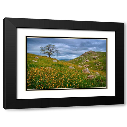 Sprung II Black Modern Wood Framed Art Print with Double Matting by Geistweite, Mark