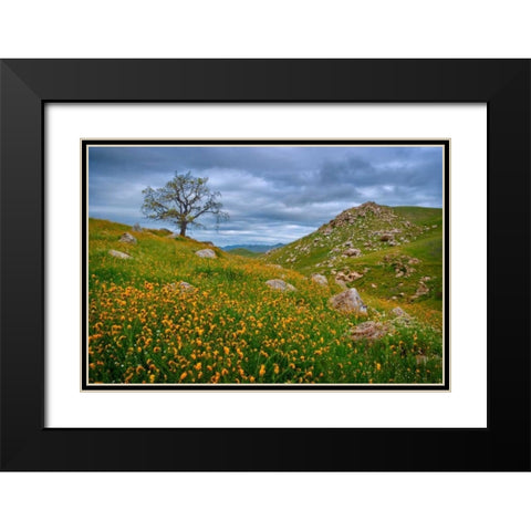 Sprung II Black Modern Wood Framed Art Print with Double Matting by Geistweite, Mark