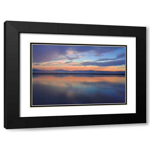 Watercolor II Black Modern Wood Framed Art Print with Double Matting by Geistweite, Mark