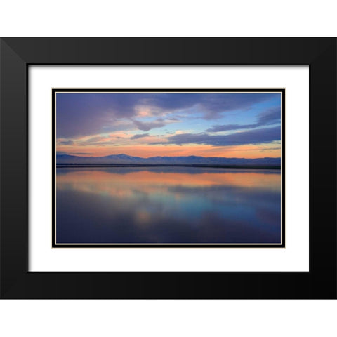 Watercolor II Black Modern Wood Framed Art Print with Double Matting by Geistweite, Mark