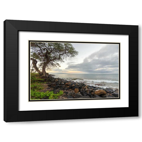 Kihei Sunrise Black Modern Wood Framed Art Print with Double Matting by Hellmann, Stan