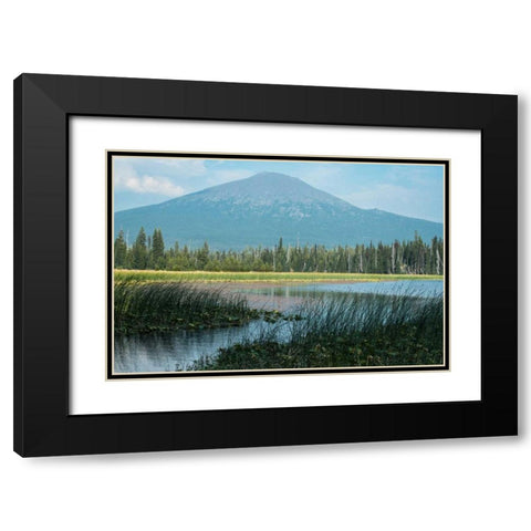 Bachelor in Summer Black Modern Wood Framed Art Print with Double Matting by Hellmann, Stan