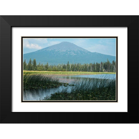 Bachelor in Summer Black Modern Wood Framed Art Print with Double Matting by Hellmann, Stan