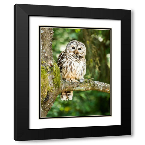 Einstein I Black Modern Wood Framed Art Print with Double Matting by Hellmann, Stan