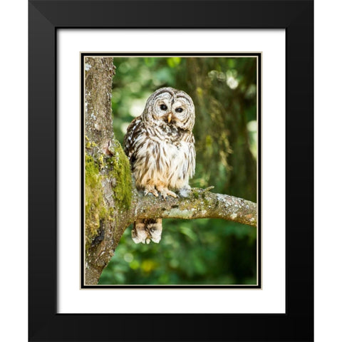 Einstein I Black Modern Wood Framed Art Print with Double Matting by Hellmann, Stan