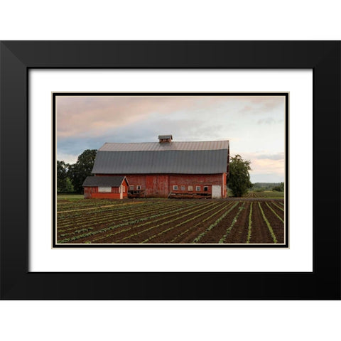 Mt. Angel Barn Black Modern Wood Framed Art Print with Double Matting by Hellmann, Stan