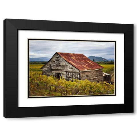 Sonoma Barn Black Modern Wood Framed Art Print with Double Matting by Hellmann, Stan