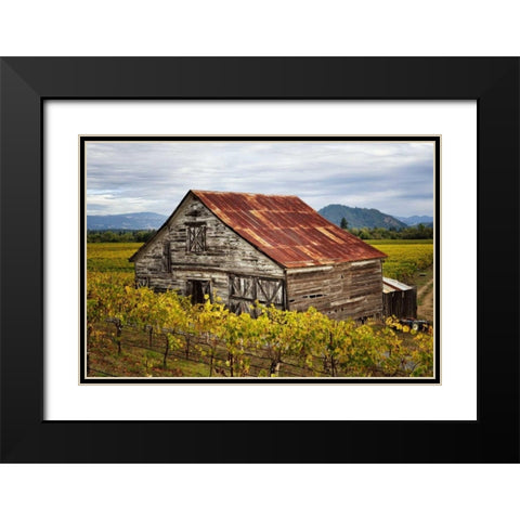 Sonoma Barn Black Modern Wood Framed Art Print with Double Matting by Hellmann, Stan