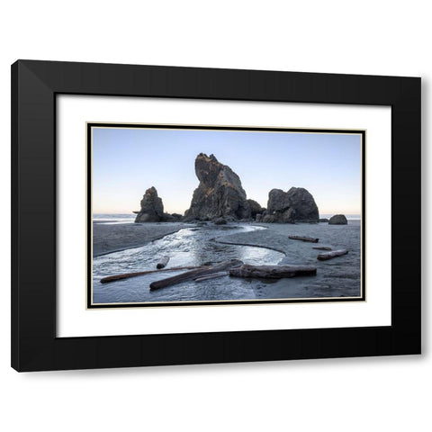 Ruby Beach Morning I Black Modern Wood Framed Art Print with Double Matting by Hellmann, Stan
