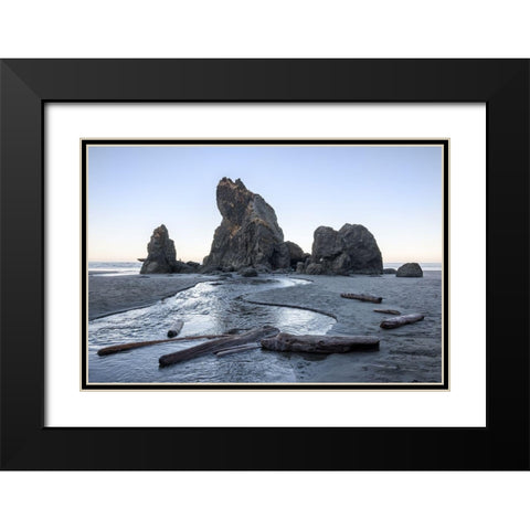 Ruby Beach Morning I Black Modern Wood Framed Art Print with Double Matting by Hellmann, Stan