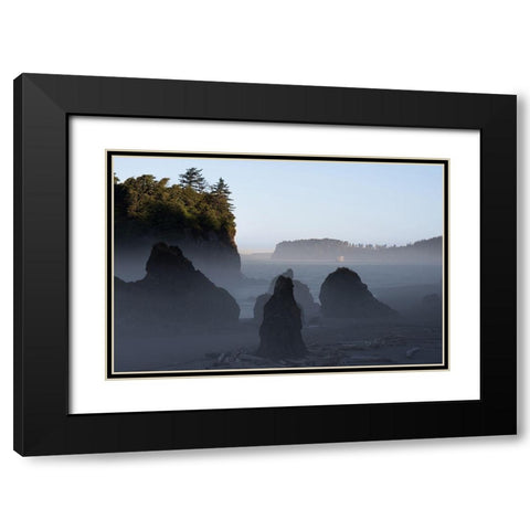 Ruby Beach Morning III Black Modern Wood Framed Art Print with Double Matting by Hellmann, Stan