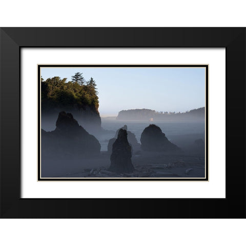 Ruby Beach Morning III Black Modern Wood Framed Art Print with Double Matting by Hellmann, Stan