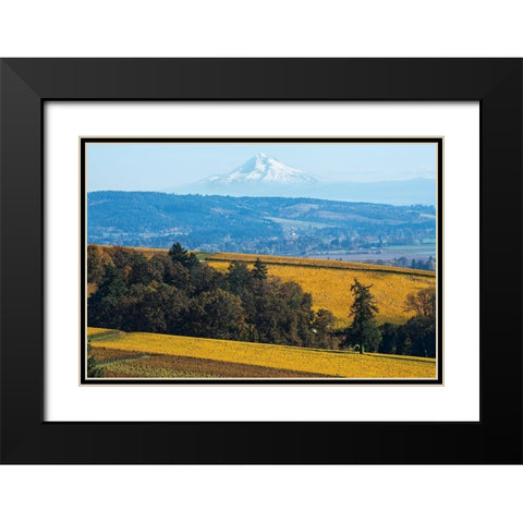 Dundee Hills I Black Modern Wood Framed Art Print with Double Matting by Hellmann, Stan