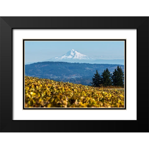 Dundee Hills II Black Modern Wood Framed Art Print with Double Matting by Hellmann, Stan