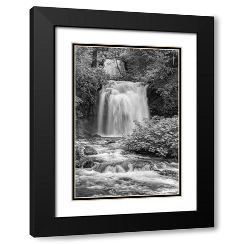 Twin Falls BW Black Modern Wood Framed Art Print with Double Matting by Hellmann, Stan