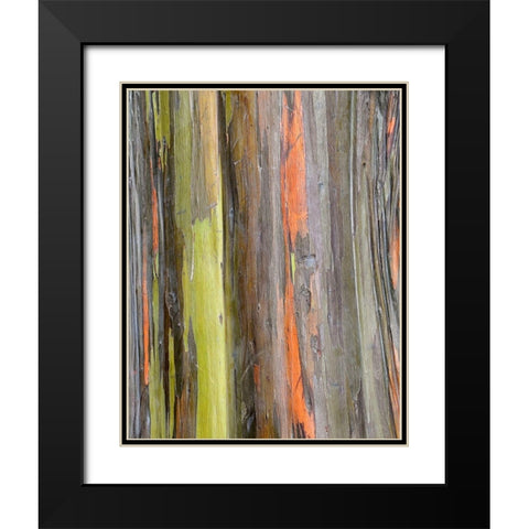 Eucalyptus Bark III Black Modern Wood Framed Art Print with Double Matting by Hellmann, Stan
