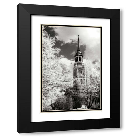 Renewal I Black Modern Wood Framed Art Print with Double Matting by Hausenflock, Alan