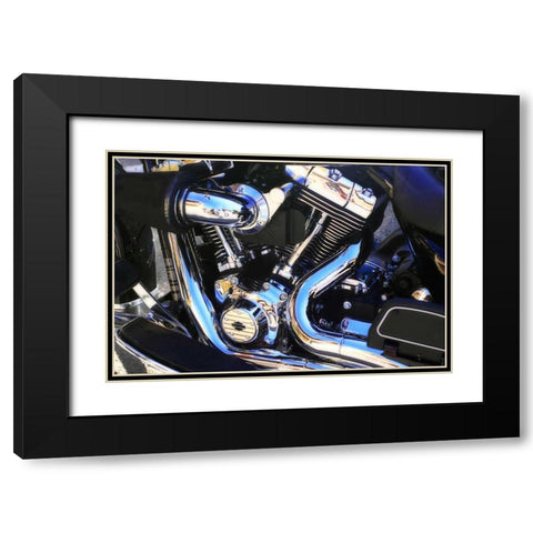 Black Beauty I Black Modern Wood Framed Art Print with Double Matting by Hausenflock, Alan