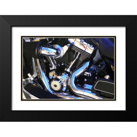 Black Beauty I Black Modern Wood Framed Art Print with Double Matting by Hausenflock, Alan