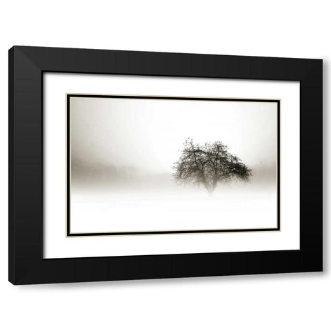 In the Mist I Black Modern Wood Framed Art Print with Double Matting by Hausenflock, Alan