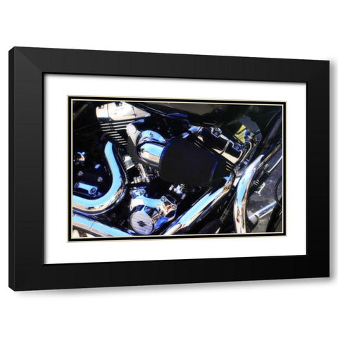 Black Beauty II Black Modern Wood Framed Art Print with Double Matting by Hausenflock, Alan