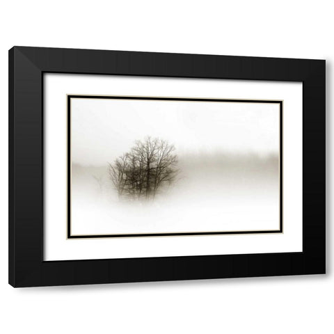 In the Mist II Black Modern Wood Framed Art Print with Double Matting by Hausenflock, Alan