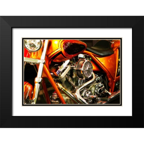 Wild Ride II Black Modern Wood Framed Art Print with Double Matting by Hausenflock, Alan