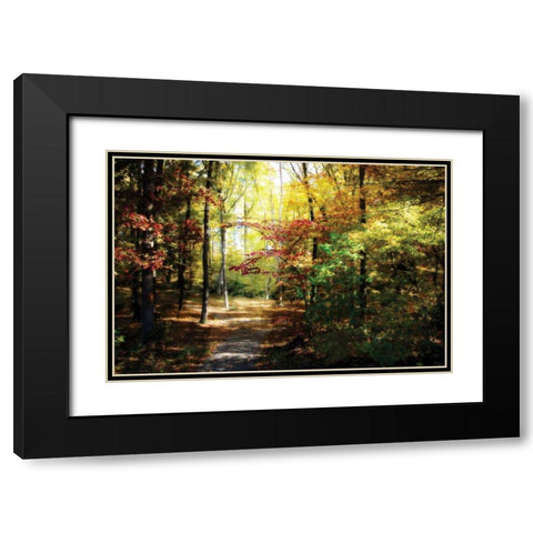 Hanover Wayside I Black Modern Wood Framed Art Print with Double Matting by Hausenflock, Alan