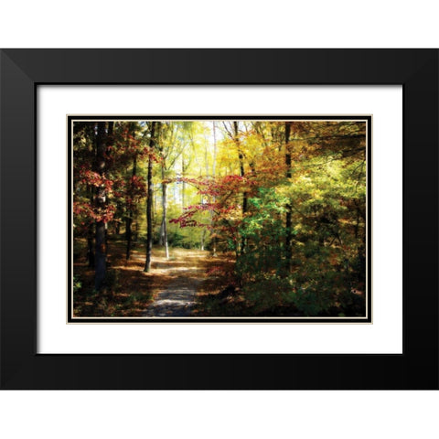 Hanover Wayside I Black Modern Wood Framed Art Print with Double Matting by Hausenflock, Alan
