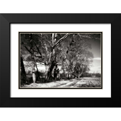 Winter Fields I Black Modern Wood Framed Art Print with Double Matting by Hausenflock, Alan