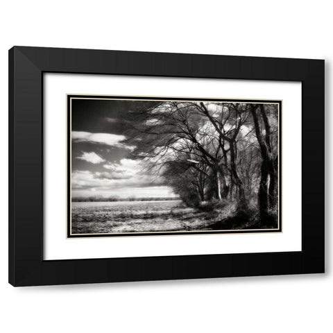 Winter Fields II Black Modern Wood Framed Art Print with Double Matting by Hausenflock, Alan