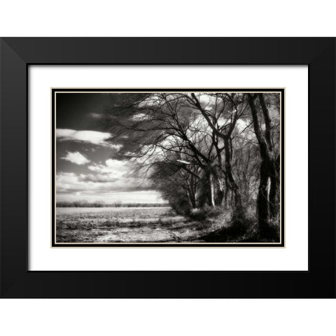 Winter Fields II Black Modern Wood Framed Art Print with Double Matting by Hausenflock, Alan