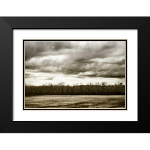 Winter Fields IV Black Modern Wood Framed Art Print with Double Matting by Hausenflock, Alan
