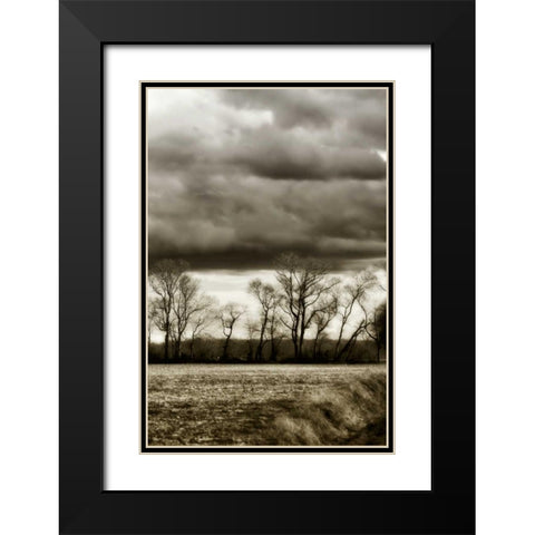 Winter Fields V Black Modern Wood Framed Art Print with Double Matting by Hausenflock, Alan