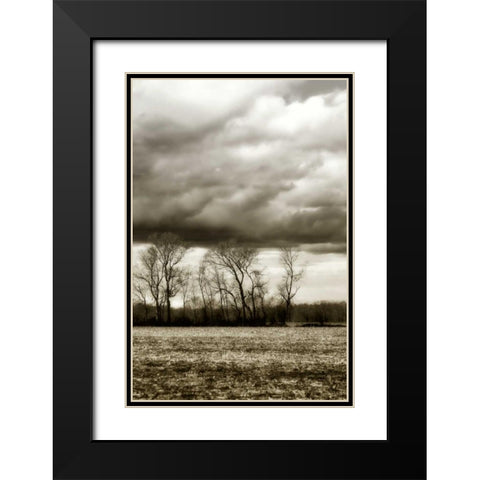 Winter Fields VI Black Modern Wood Framed Art Print with Double Matting by Hausenflock, Alan