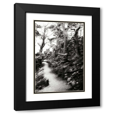 North Point Pathway I Black Modern Wood Framed Art Print with Double Matting by Hausenflock, Alan