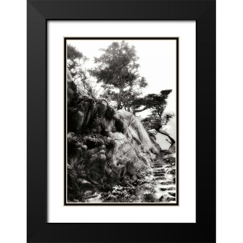 North Point Pathway II Black Modern Wood Framed Art Print with Double Matting by Hausenflock, Alan