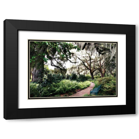 Sultry Garden II Black Modern Wood Framed Art Print with Double Matting by Hausenflock, Alan