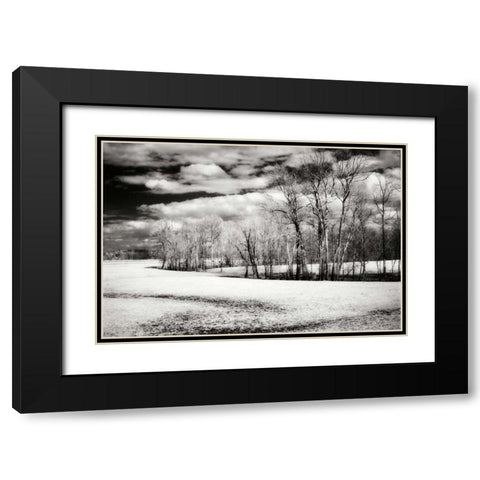 Hanover Winter I Black Modern Wood Framed Art Print with Double Matting by Hausenflock, Alan