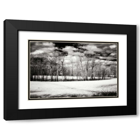 Hanover Winter II Black Modern Wood Framed Art Print with Double Matting by Hausenflock, Alan