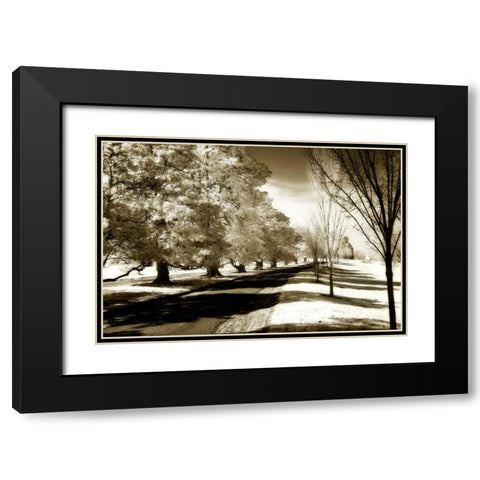 Stately Magnolias I Black Modern Wood Framed Art Print with Double Matting by Hausenflock, Alan