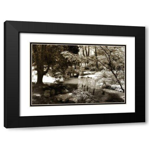Garden Bridge I Black Modern Wood Framed Art Print with Double Matting by Hausenflock, Alan