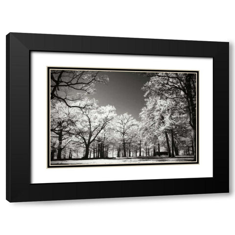 Bright Spring Day I Black Modern Wood Framed Art Print with Double Matting by Hausenflock, Alan