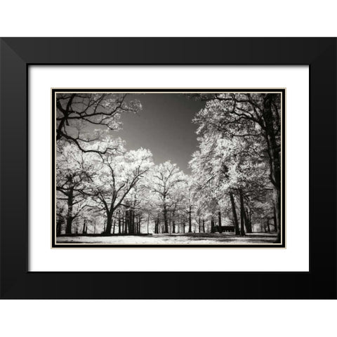 Bright Spring Day I Black Modern Wood Framed Art Print with Double Matting by Hausenflock, Alan