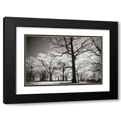 Bright Spring Day II Black Modern Wood Framed Art Print with Double Matting by Hausenflock, Alan