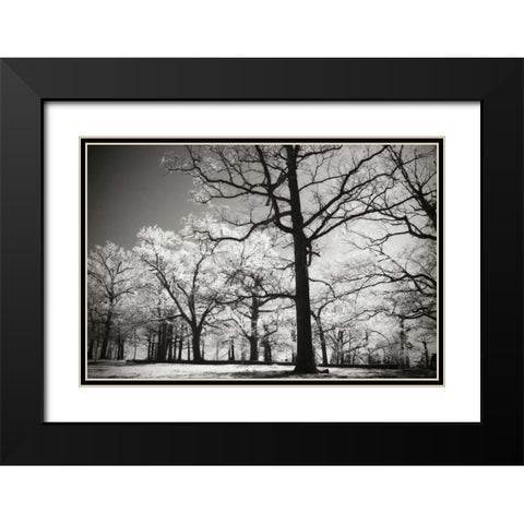 Bright Spring Day II Black Modern Wood Framed Art Print with Double Matting by Hausenflock, Alan