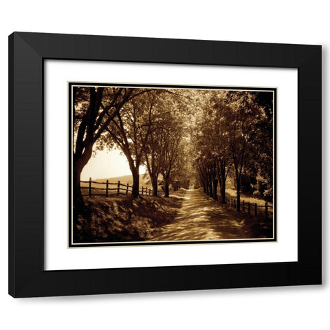 Ash Lawn I Black Modern Wood Framed Art Print with Double Matting by Hausenflock, Alan