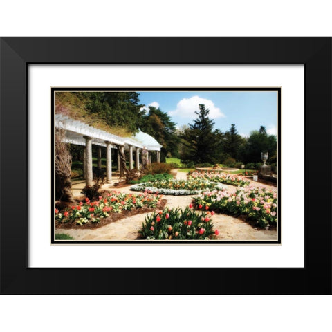 Spring Formality I Black Modern Wood Framed Art Print with Double Matting by Hausenflock, Alan