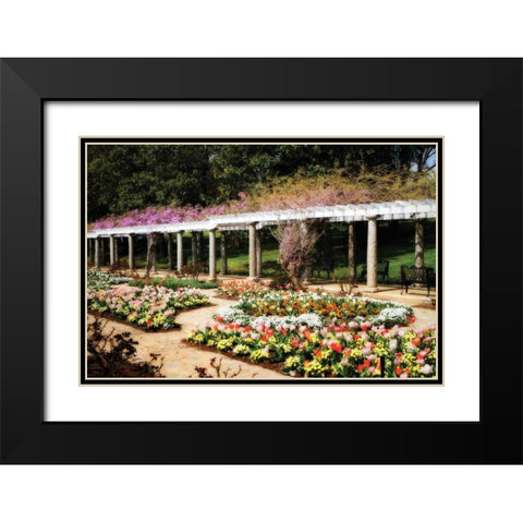 Spring Formality II Black Modern Wood Framed Art Print with Double Matting by Hausenflock, Alan