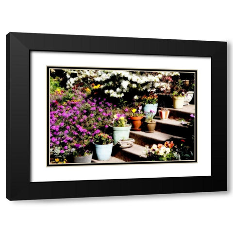 Sidewalk Spring II Black Modern Wood Framed Art Print with Double Matting by Hausenflock, Alan